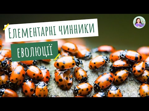 Видео: Елементарні чинники еволюції