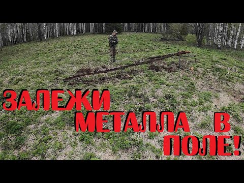 Видео: 🟢 ЗАЛЕЖИ ЖЕЛЕЗА В ПОЛЕ — КОП УДАЛСЯ С САМОГО НАЧАЛА!