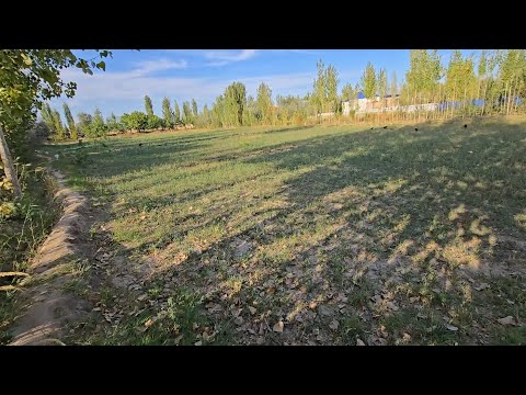 Видео: 500 $ ЖОЙ УРИН СОТИЛАДИ ПУЛ ЗАРУР ГАЗ СВЕТ СУВ БОР 