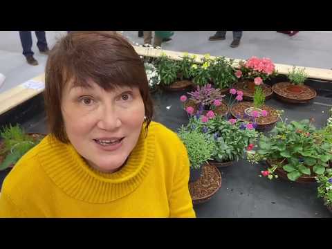 Видео: Выставка садоводства в Эссене Часть 1