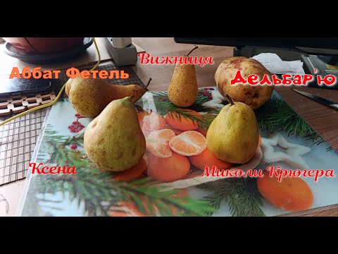 Видео: Огляд груш на 1 листопада