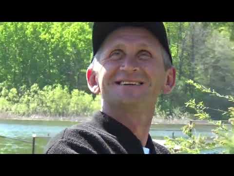 Видео: Летные испытания голубей у Балашова Сергея.    г Зеленодольск. Клуб Гулливер.