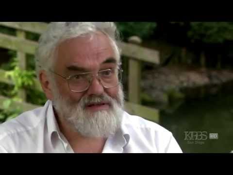 Видео: Влияние пестицидов и нитратов на мёд и пчёл. ГМО. Дикий бортевой мёд..