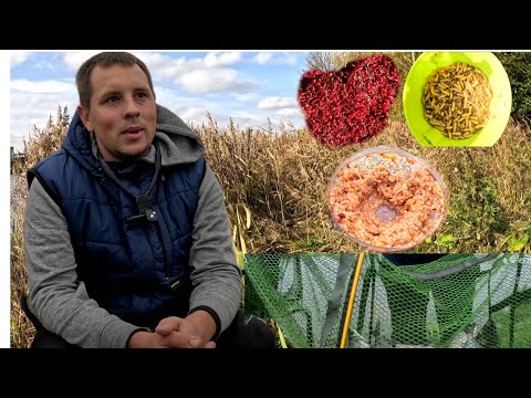 Видео: Рыбалка в конце Октября.Ну и где же рыба? Это конец сезона??