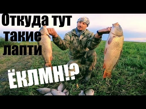 Видео: Рыбалка на паук подЪЁмник или на кастинговую сеть американского типа, ЧТО КРУЧЕ? Рыбалка 2022