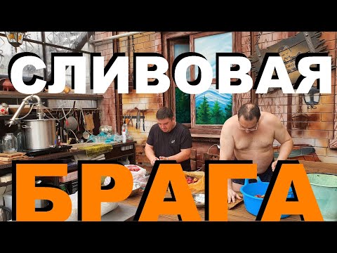 Видео: СЛИВОВАЯ БРАГА РЕЦЕПТЫ СЮФ