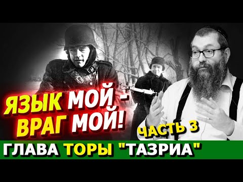 Видео: Глава Торы "ТАЗРИА" часть 3 | Комментарии к недельной главе | Лекции Байтмана