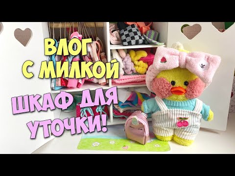 Видео: Обустраиваем новый шкаф Уточки Милки! Идеи для уточек Lalafanfan!