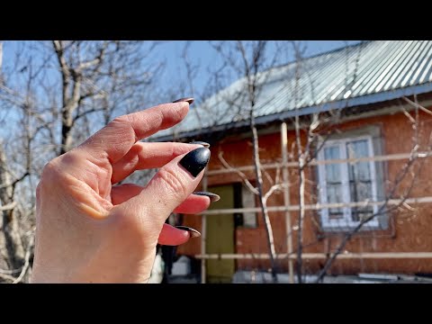 Видео: АСМР |Дача |Камера |Постукивания |Царапанье |ASMR |Summer cottage |Camera |Tapping |Scratching
