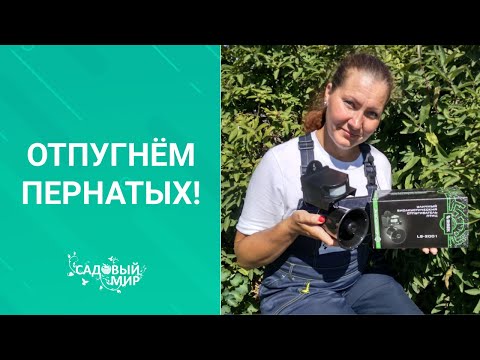 Видео: Только так я смогла сохранить урожай ягод от нашествия птиц! Проверенный способ.