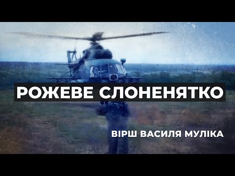 Видео: Рожеве слоненятко (бортовий оберіг)