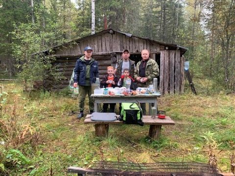 Видео: ТАЙГУ пилят,рубят!Лоси бегут!Лесные дороги скоро в асфальт закатают!Но все равно лес нас кормит.2ч.