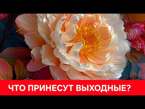 Видео: ЧТО ПРИНЕСУТ ВЫХОДНЫЕ?🥰🥰🥰🥰🥰🥰🥰