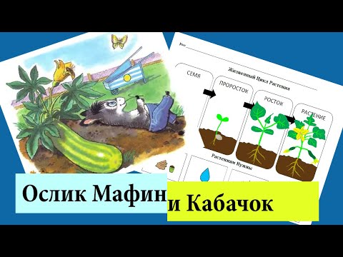 Видео: Жизнь Растений | Ослик Мафин и Его Знаменитый Кабачок