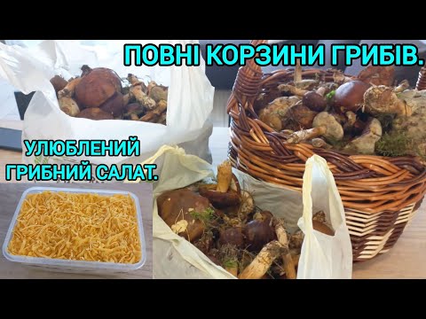 Видео: Повні Корзини Грибів🍄Улюблений ГРИБНИЙ САЛАТ#польськігриби#грибнийсалат#грибивпольщі#переїзддопольщі