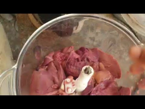 Видео: Илон балиқ личинкаларини боқиш. (шогиртларимизни ишидан лавха) 