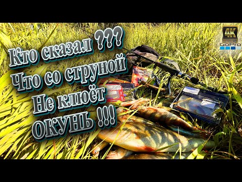 Видео: Ловля на микроджиг летом❗Лучше показать чем рассказать ❗