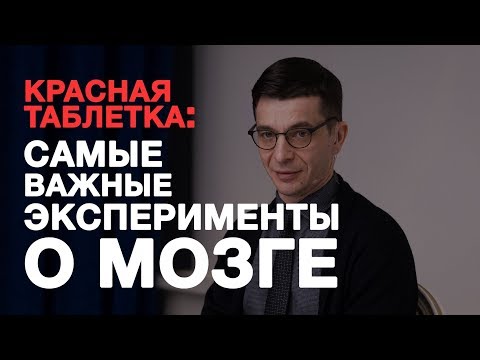 Видео: Эксперименты из «Красной таблетки». Встреча с участниками Академии смысла.