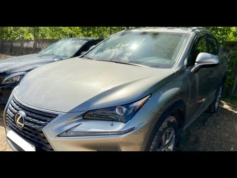 Видео: Осмотр Lexus NX300 / Автоподбор Ижевск