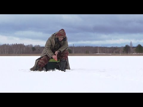 Видео: Применяю безмотылку с подсадкой опарыша и супер удачный  бонус!