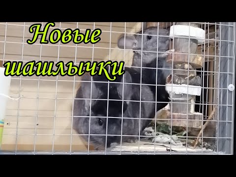 Видео: Новые погрызушки для шиншилл.