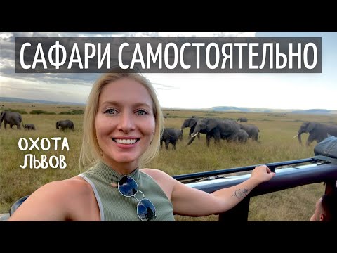 Видео: Сафари самостоятельно | Охота львов | Сафари в Кении 2021 | Африка 2021