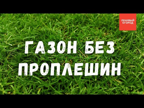 Видео: Как избавиться от проплешин на газоне | Одуванчики на газоне - борьба | Газон для ленивых