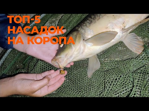 Видео: ТОП-5 насадок для ловлі коропа на волосяні оснастки!