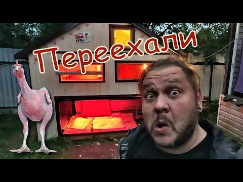 Видео: Обживаем курятник. Дачный будень #161