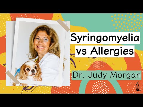 Видео: Сирингомиелия против аллергии с доктором Джуди Морган