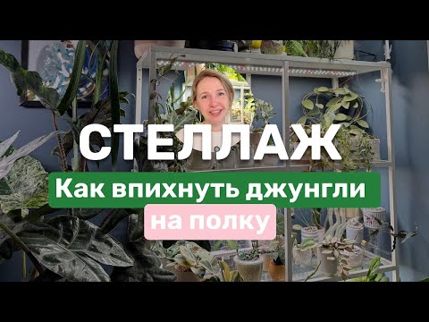 Видео: СТЕЛЛАЖ: свет, обустройство, растения