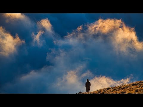 Видео: Михаил Брацлавский. Субботняя глава к празднику: холь аМоед Суккот .Лицом к лицу.