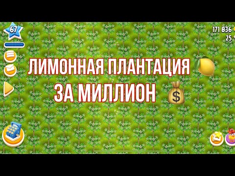 Видео: Hay Day #47 / 67 ур. / Моя первая грандиозная плантация 🍋