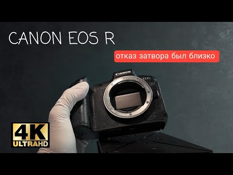 Видео: Он был близок к смерти! Canon EOS R