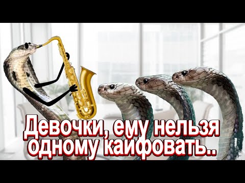 Видео: 1113. Традиции офисных РСПэх...