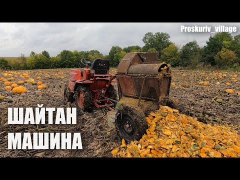 Видео: ШАЙТАН МАШИНА для гарбузів
