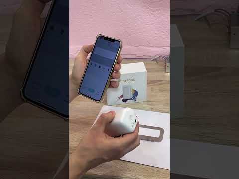 Видео: Обзор и настройка ручного принтера Evebot