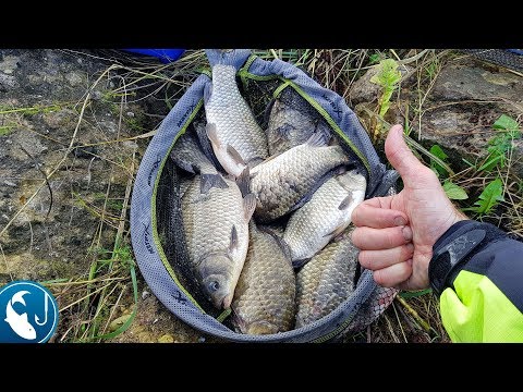 Видео: Ловля карася на фидер осенью. Тактика ловли в октябре. Ловля на два фидера.