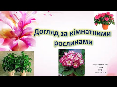 Видео: Догляд за кімнатними рослинами. Для дітей.