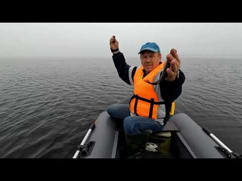 Видео: Проведал избушку - сараюшку. Наловил окуней👍👍👍