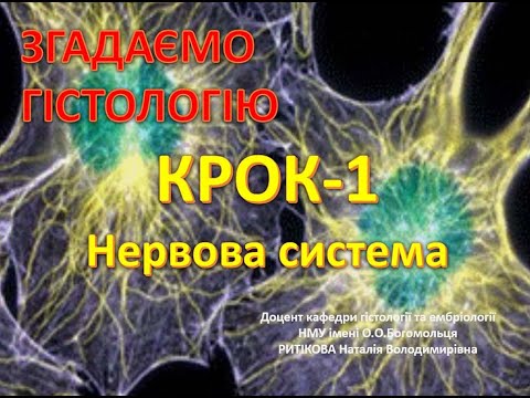 Видео: Гістологія  до Крок 1  Нервова система