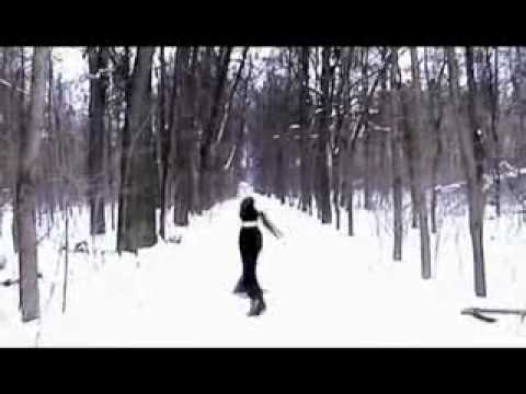 Видео: Шмели Повелительница снов