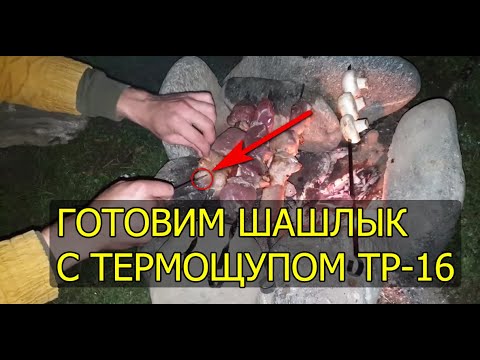 Видео: Готовим мясо с термощупом - TP 16