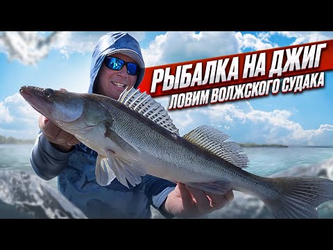 Видео: РАЙ ДЛЯ РЫБАКА! ТОННЫ СУДАКА ВМЕСТО ДНА. РЫБАЛКА НА ДЖИГ. 