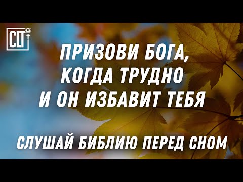 Видео: Позови меня в день скорби и я избавлю тебя и ты прославишь Меня | Звуки природы #Библия #Relaxing