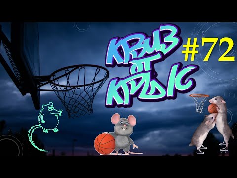 Видео: КВИЗ от КРЫС эпизод 72 QUIZ ot KRYS ep #72