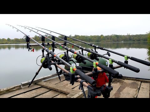 Видео: ЛОВЛЯ КАРПА ОСЕНЬЮ! Ловля на бойлы и кукурузу....