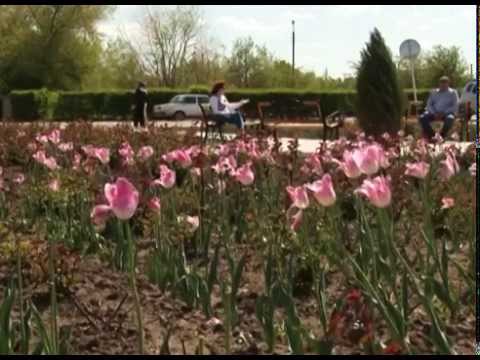 Видео: Привет, земляки! Александров Гай