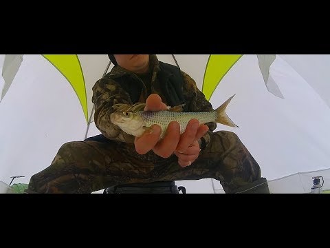 Видео: За крУУУпной плотвой в Кудиново.