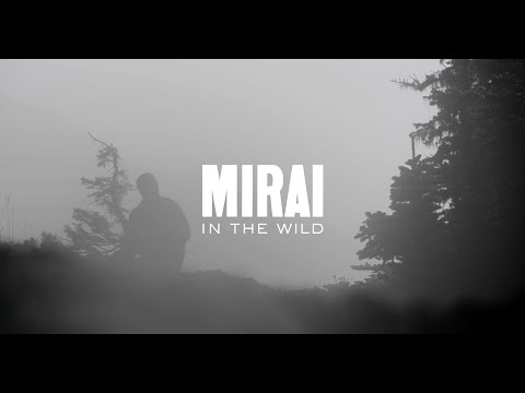 Видео: Мирай в дикой природе: Олимпиада